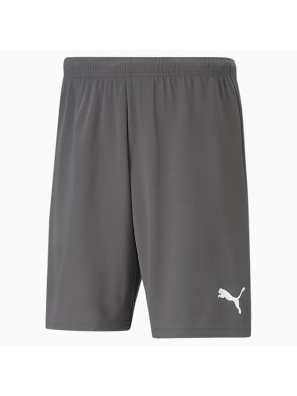 Shorts Puma Teamrise Masculino Grafite